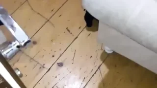 Türk Cuckold Gecesi
