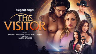 The Visitor (Elegant Angel)